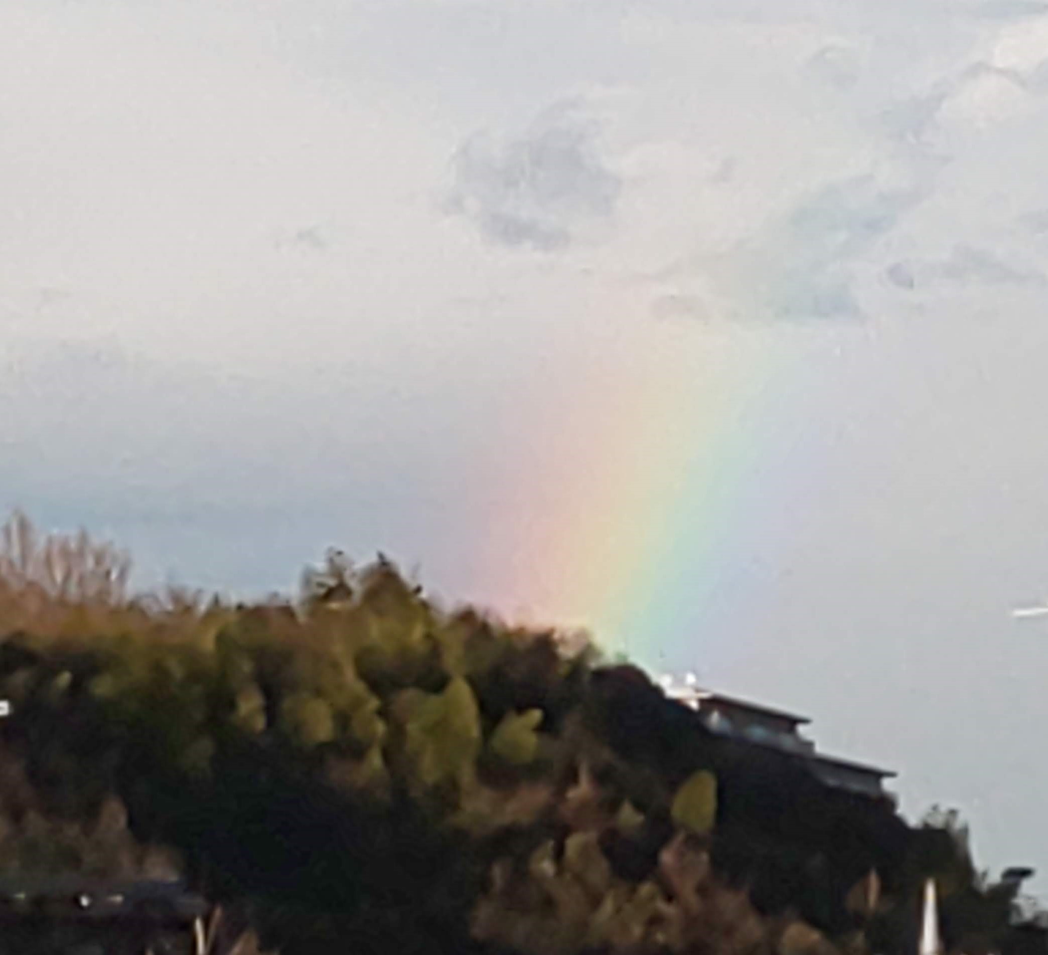 「昨日の虹」;