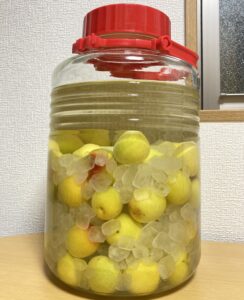 梅仕事;