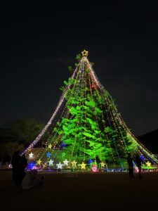 ジャンボツリー🌲;