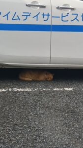 熱中症対策