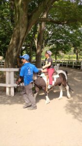 公園🐎